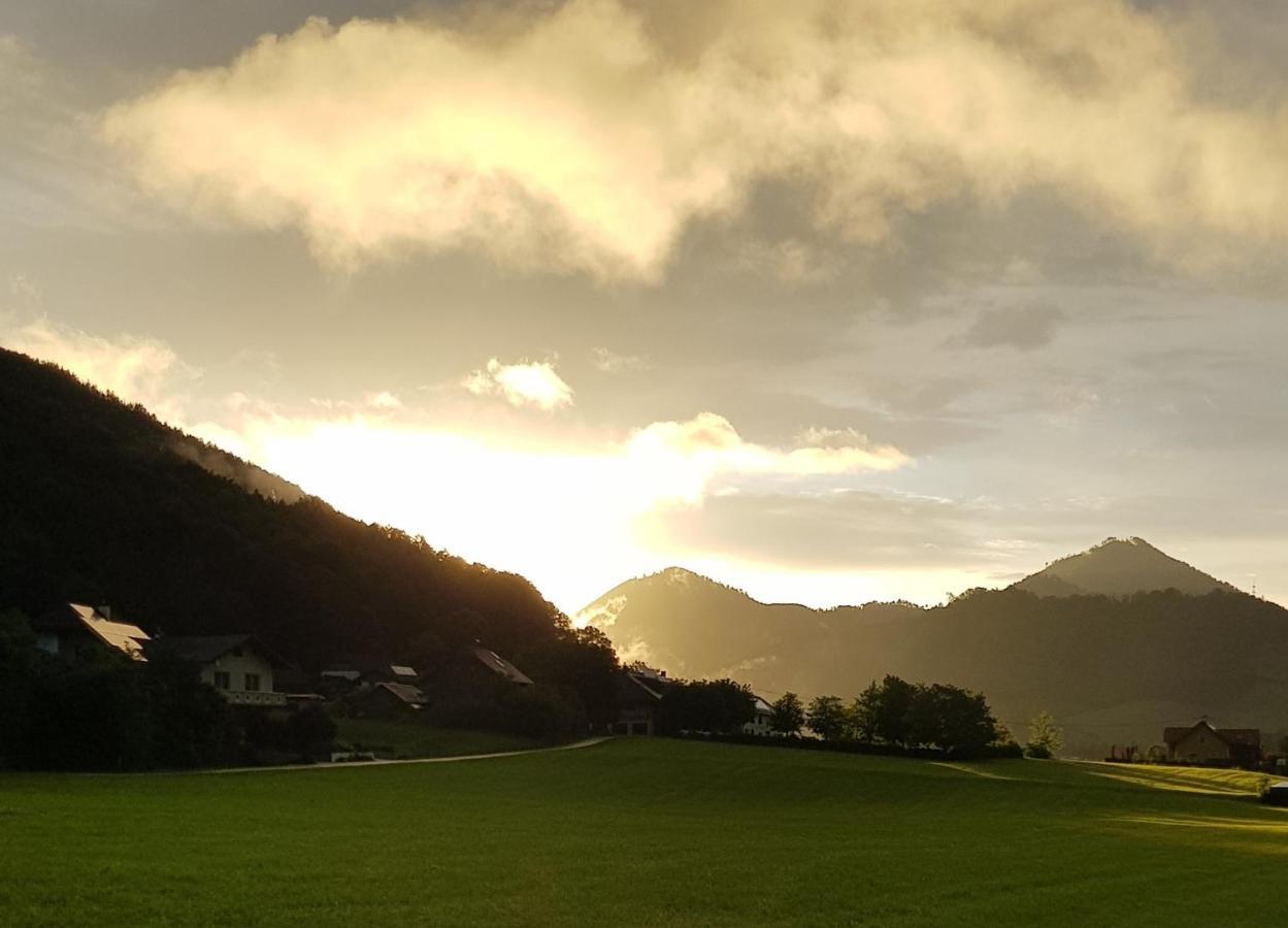 Hof Zur Steinwaend Bed & Breakfast Micheldorf in Oberösterreich Dış mekan fotoğraf