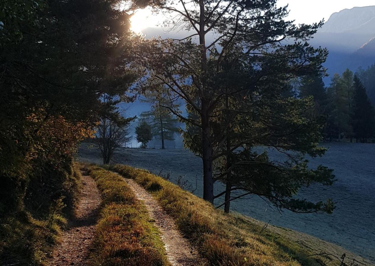 Hof Zur Steinwaend Bed & Breakfast Micheldorf in Oberösterreich Dış mekan fotoğraf
