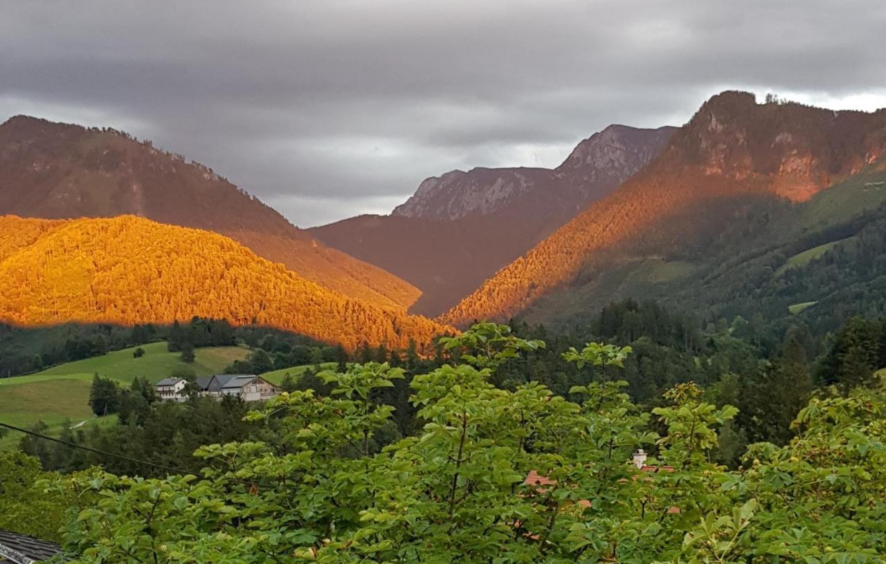 Hof Zur Steinwaend Bed & Breakfast Micheldorf in Oberösterreich Dış mekan fotoğraf